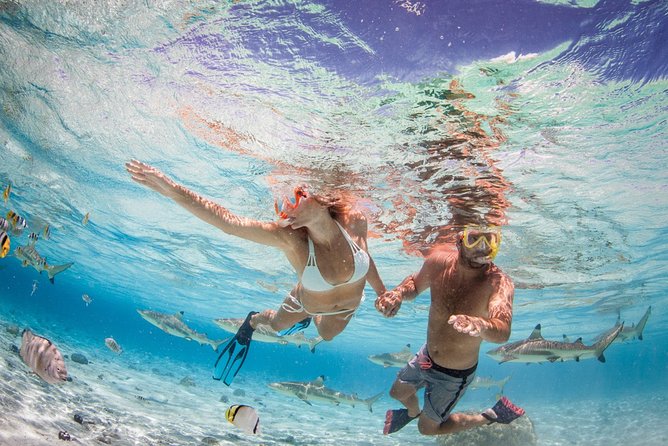 Private Full Day Aquatic Photo Tour + Resort Photo-Shoot (All inclusive) - Motu Time Adds Breathing Room