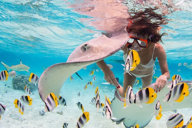 Private Full Day Aquatic Photo Tour + Resort Photo-Shoot (All inclusive) - A Private Boat Instead of a Standard Island Loop