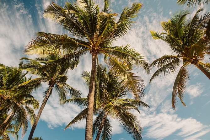 Private Full-Day Lagoon Adventure in Bora Bora with BBQ Lunch - Guides shape the feel of the experience