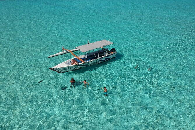 Private Full-Day Lagoon Adventure in Bora Bora with BBQ Lunch - The coral garden reveals Bora Bora’s quieter side