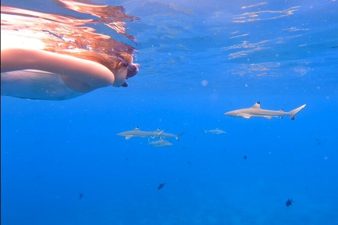 Private Full Day Lagoon Safari and Lunch on a Motu in Bora Bora - Lunch on a motu, the day’s change of pace