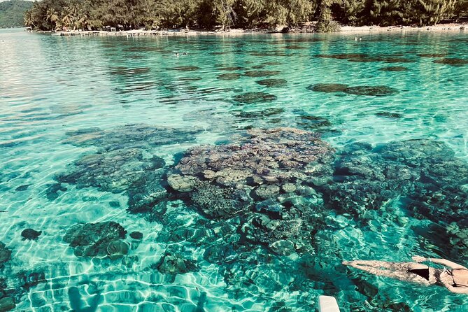 Private Full Day Lagoon Safari and Lunch on a Motu in Bora Bora - Is the private price worth it?