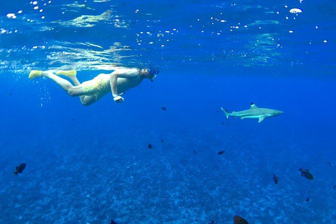 PRIVATE FULL DAY LAGOON TOUR - Bora Bora Cultural Lagoon Tour - A 9:00 am start and a calm opening on the lagoon