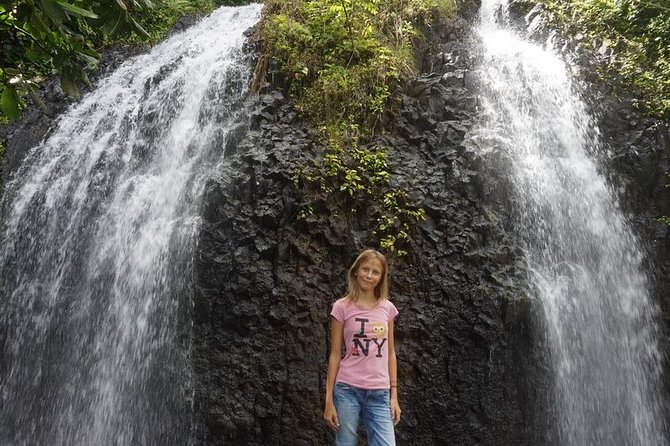 Private Full-Day Tahiti — Grotto, Gardens & Panoramas - Key points before you book