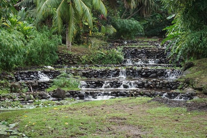 Private Full-Day Tahiti — Grotto, Gardens & Panoramas - Vaipahi Water Gardens, a slower nature stop