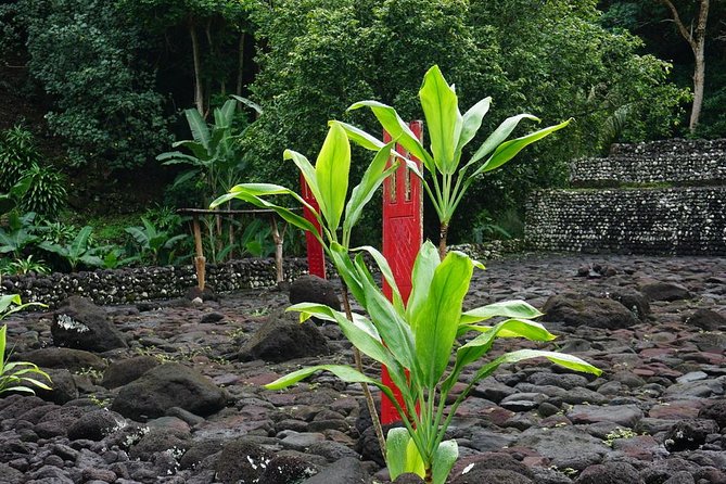 Private Full-Day Tahiti — Grotto, Gardens & Panoramas - Faaone Twin Waterfalls and Faarumai