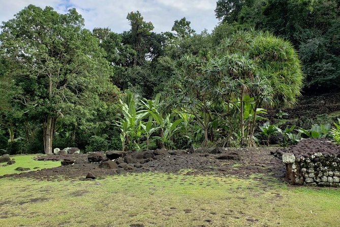 Private Full-Day Tahiti — Grotto, Gardens & Panoramas - Starting above Papeete at the Hilton viewpoint