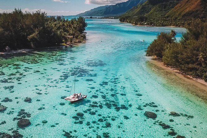 PRIVATE Full Day Tour : Moorea Snorkeling & Sailing on a Catamaran named Taboo - Snorkeling among turtles, rays, and coral gardens