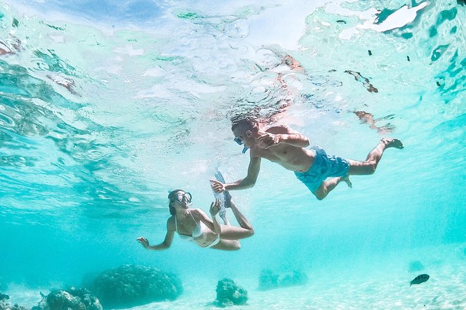 PRIVATE Full Day Tour : Moorea Snorkeling & Sailing on a Catamaran named Taboo - Beach time and your own picnic