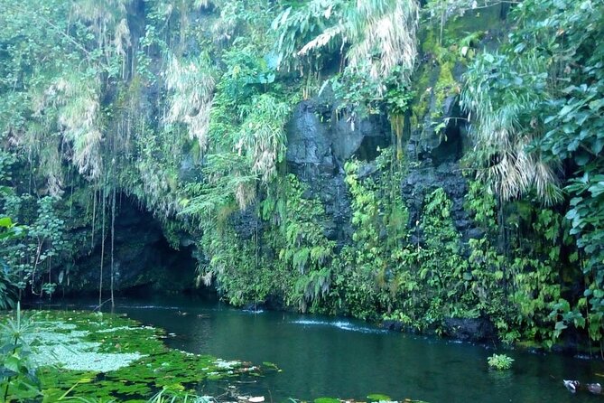 Private Full Day Tour of Tahiti - Vairao: feed the sacred eels