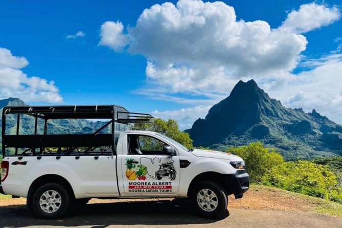 Private Guided Tour around the Moorea Island - The Belvedere viewpoint brings the island together