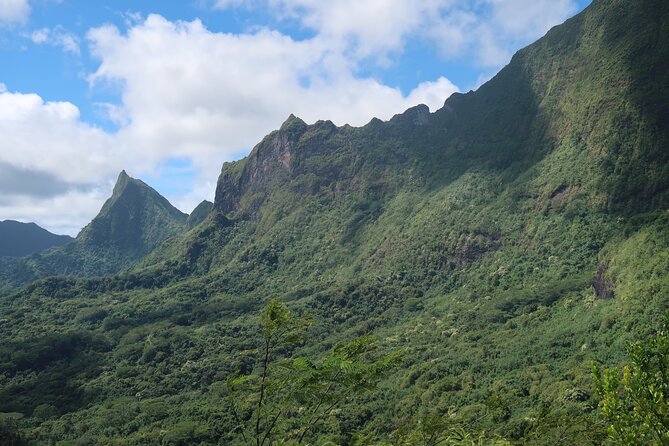 Private Half-Day Hike in the Opunohu Valley in Moorea - The climb to the Col des 3 Cocotiers and 3 Pinus