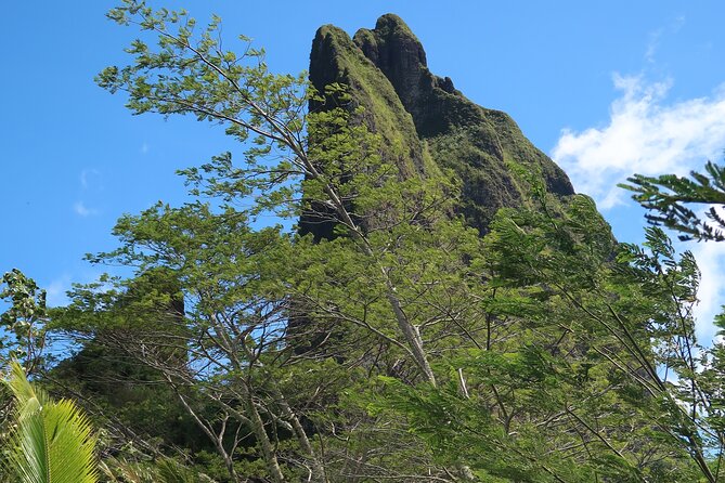 Private Half-Day Hike in the Opunohu Valley in Moorea - What Fabien adds to the experience
