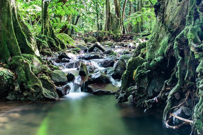 Private Half-Day Hike in the Opunohu Valley in Moorea - Is $668 good value for a private four-hour hike?