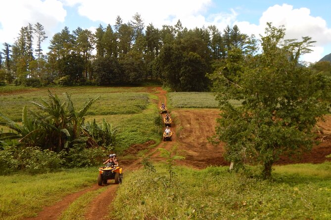 Private Half-Day Hike in the Opunohu Valley in Moorea - How to prepare for the four-hour route