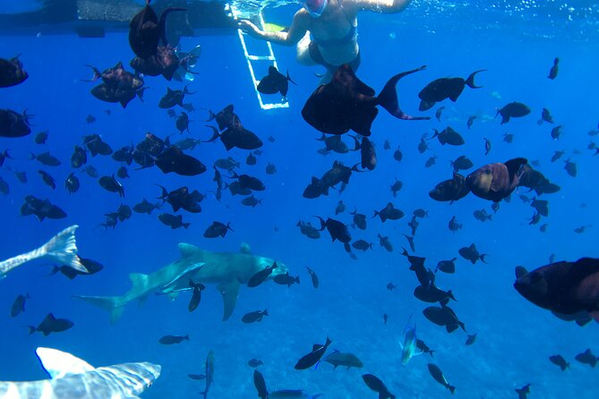 PRIVATE HALF DAY LAGOON TOUR - Bora Bora Cultural Lagoon Tour - Who should book this morning on the lagoon?