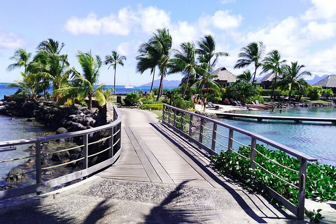Private Half-Day — Papeete City & East Coast Nature - Point Venus and Tahiti’s early European encounters