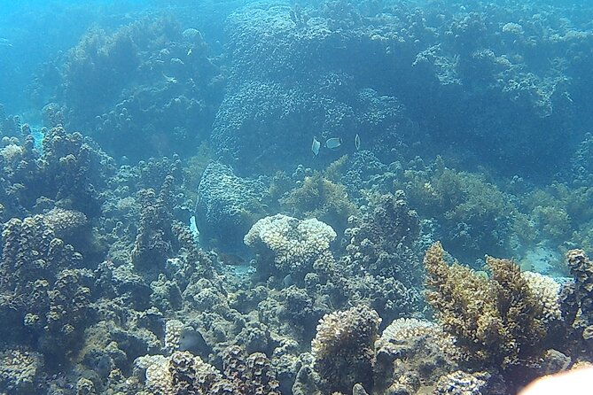 Private Half Day Sailing Excursion on the Lagoon of Tahiti - The second anchorage: shallow water and island refreshments