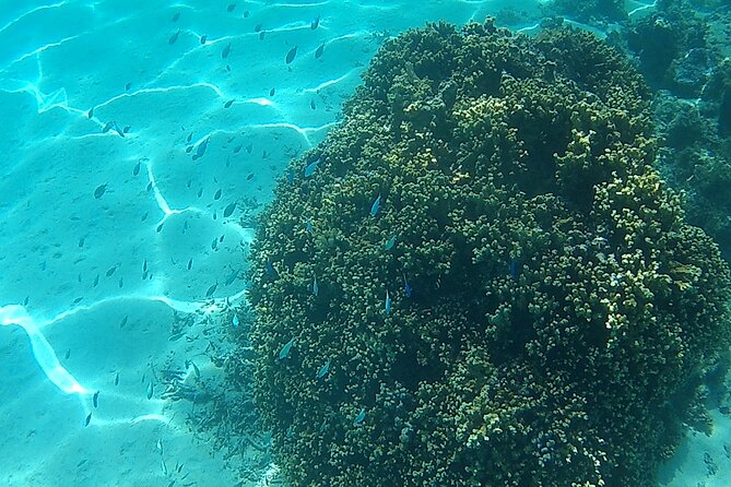 Private Half Day Sailing Excursion on the Lagoon of Tahiti - What the price means for your group