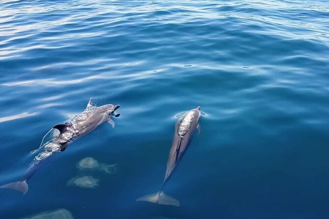 Private Half Day Sailing Excursion on the Lagoon of Tahiti - What to pack for the lagoon