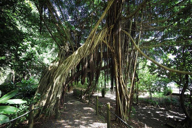 Private Island Tour ( 5 HOURS) - Point Venus: History beside a black-sand beach
