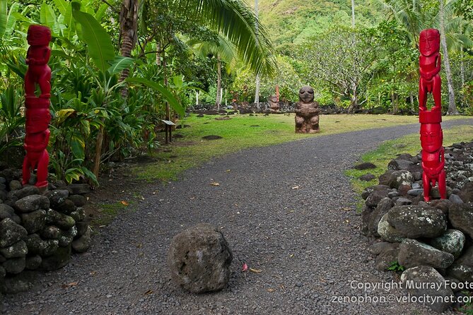 Private Island Tour ( 5 HOURS) - From the Hilton Hotel to the island road