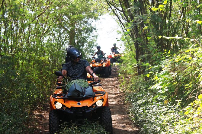 Private Island Tour by ATV / QUAD - Fruit, Juice, and a Useful Mid-Tour Pause