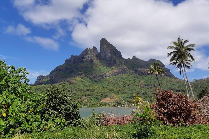Private Island Tour by ATV / QUAD - Three Off-Road Trails and the Island’s Rougher Side