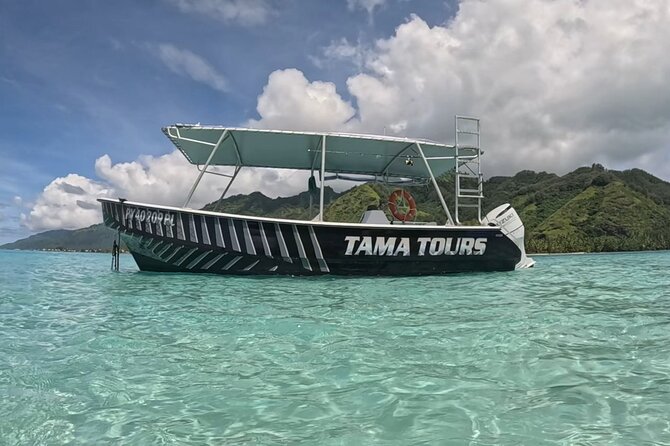 Private Lagoon Exploration and Snorkeling in Moorea - Turtles and fish around the coral reef