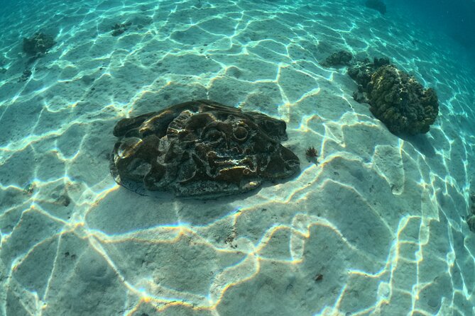 Private Lagoon Exploration and Snorkeling in Moorea - Underwater tikis add a cultural touch