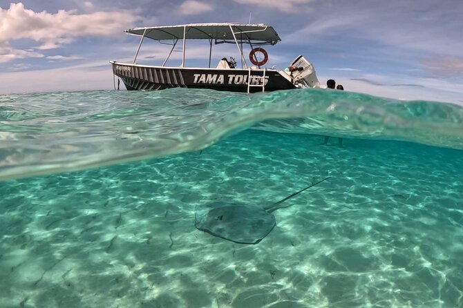 Private Lagoon Exploration and Snorkeling in Moorea - Tamatoa’s personal touch