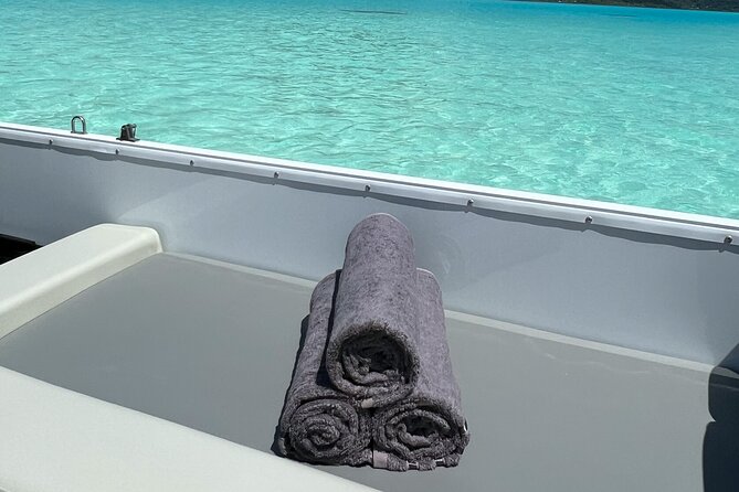 Private Lagoon Tour on a Prestigious Pontoon Boat in Bora Bora - Coral Gardens, where the water becomes the main attraction
