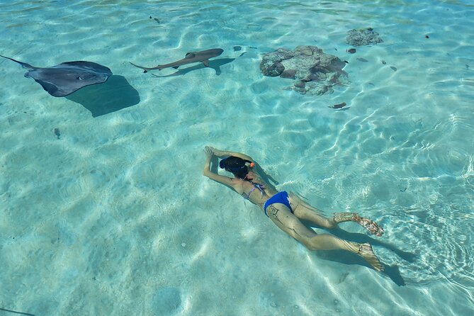 Private Marine Excursion and snorkeling in the lagoon of Moorea - Why a private boat changes the Moorea experience