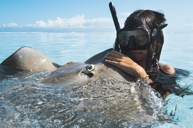 Private Marine Wildlife Adventure with Underwater Photography - Why the marine biologist guide matters