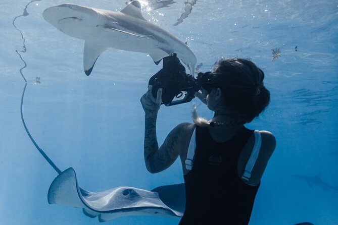 Private Marine Wildlife Adventure with Underwater Photography - Snorkeling gear, water, and what to bring