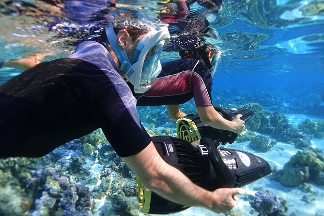 Private Marine Wildlife Adventure with Underwater Photography - The underwater photography package