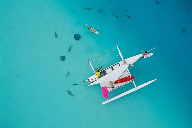 Private Moorea Discovery Half-day Sailing - Key things to know before sailing