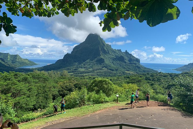 Private Morning Moorea 4WD Tour with Champagne - Pineapple fields and Moorea’s working side