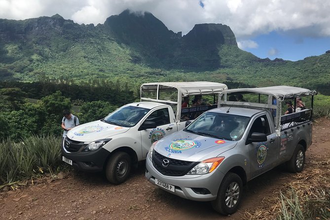 Private Morning Moorea 4WD Tour with Champagne - Tropical Garden, jam, and vanilla tasting