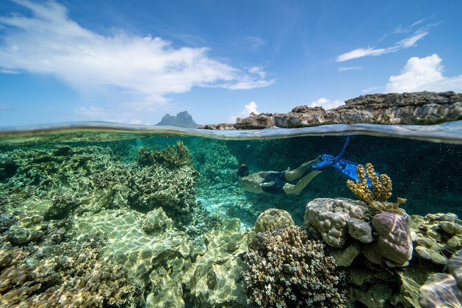 Private Reef Discovery Luxury Dream Day Tour in Bora Bora - Who will enjoy this most?