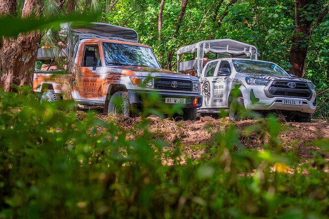 Private Safari Adventure Tour in Bora Bora with Local Guide - Is $768.14 good value for four people?