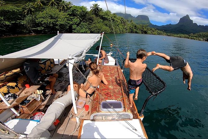 Private sailing adventure - Sandbanks, rays, sharks, turtles, and submerged tiki