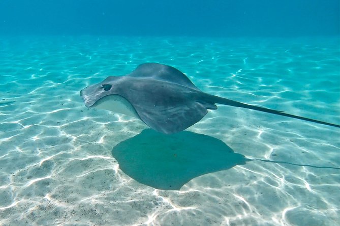 PRIVATE Sunset Tour: Moorea Snorkeling on a Catamaran named Taboo - The Comfortable Side of a Three-Hour Cruise