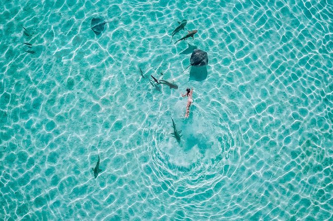 PRIVATE Sunset Tour: Moorea Snorkeling on a Catamaran named Taboo - How the Price Compares With the Experience