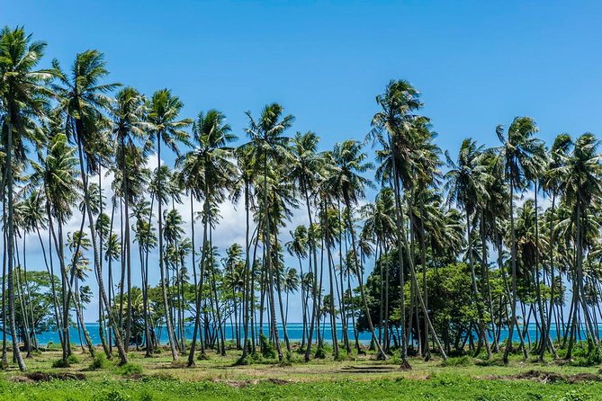 Private Tahiti Circle Island - Waterfalls, Black Sand & Views - Why a private Tahiti loop makes sense