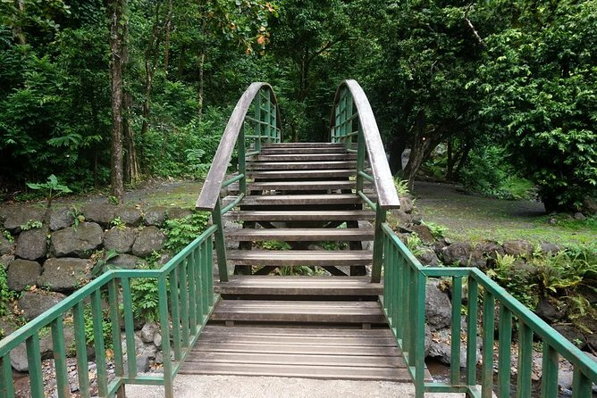 Private Tahiti Circle Island - Waterfalls, Black Sand & Views - Vaipahi Water Gardens, the most relaxed walk