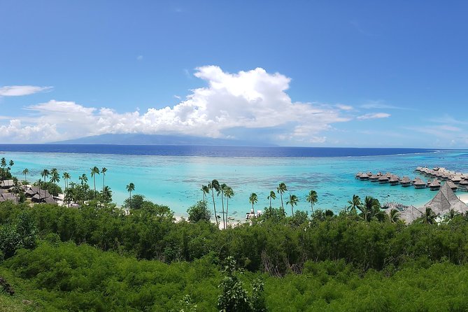 Private Tahiti Circle Island - Waterfalls, Black Sand & Views - Black sand, coast roads, and time in the van