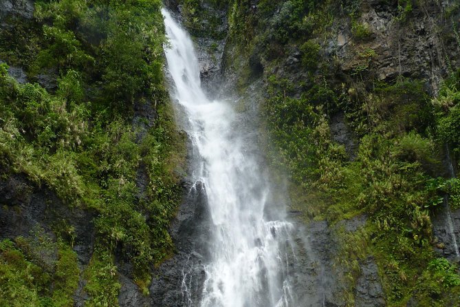 private Tahiti island discovery - The Water Gardens of Vaipahi: plants and a small waterfall