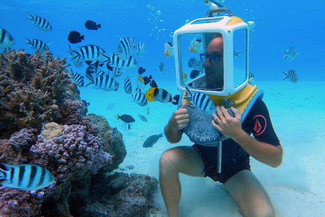 Private Tour: Aqua Safari Scuba Diving - Quick points to know before booking