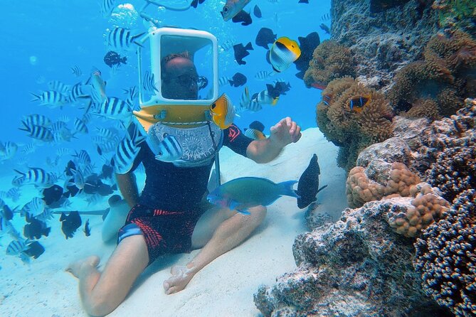 Private Tour: Aqua Safari Scuba Diving - What Aqua Safari actually is